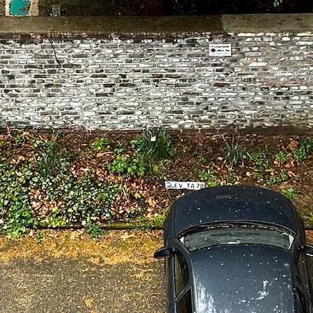 Gemuetliche, Ganze Wohnung In Ruhiger, Zentraler Lage Leverkusen Eksteriør bilde